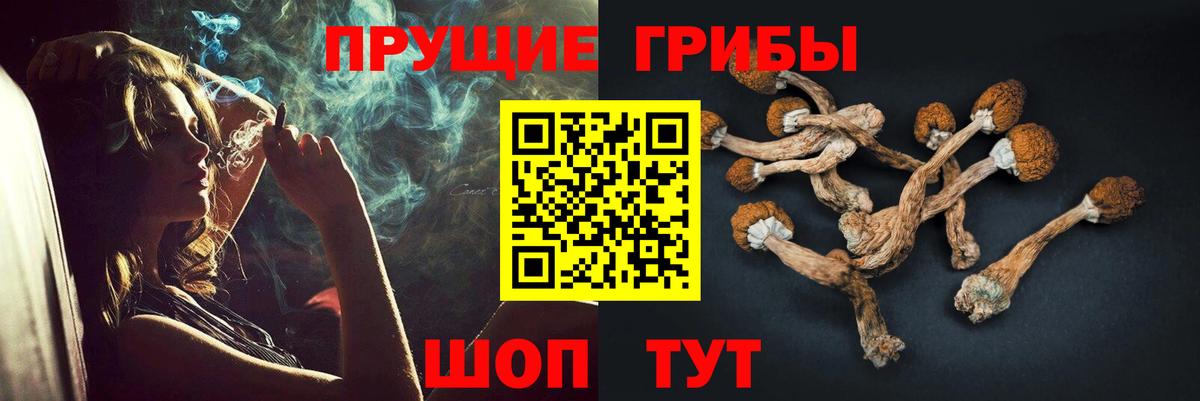 Ковров  Псилоцибиновые грибы прущие грибы  Вход с VPN 
